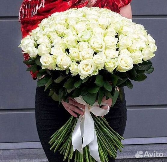 Высокие розы Гигантские розы с доставкой