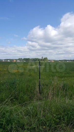 Участок 5 га (ИЖС)