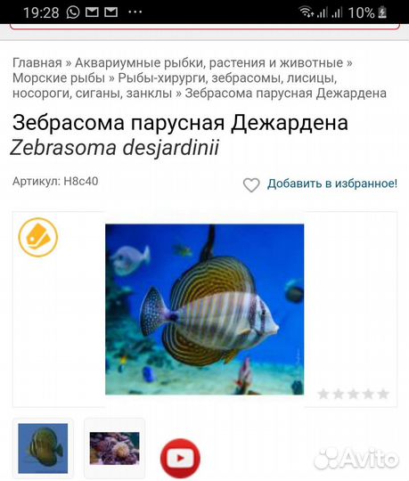 Рыбки для морского аквариума