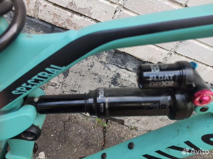 Canyon Spectral 6 2021