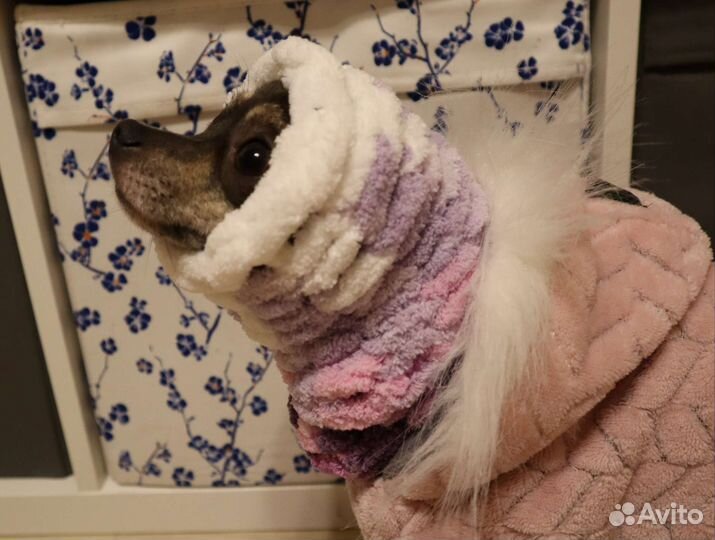 Снуд для собак