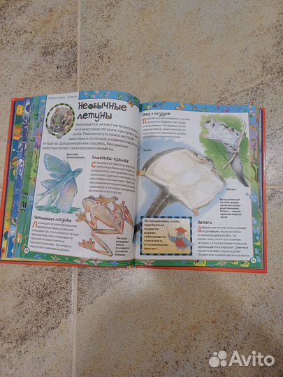 Книги для детей