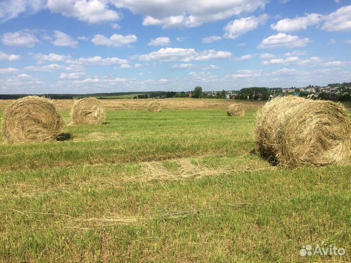 Сено в рулонах 2023 года