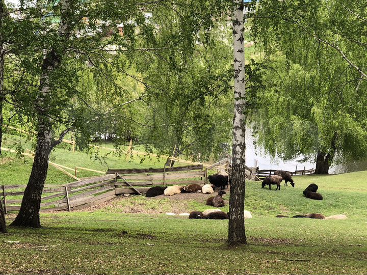 Участок 35 сот. (ИЖС)