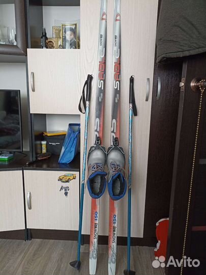 Лыжные палки