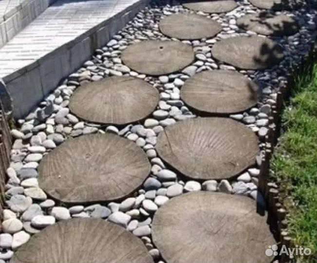 Спилы березы, для декора