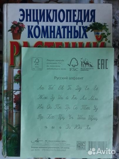 Энциклопедия комнатных растений