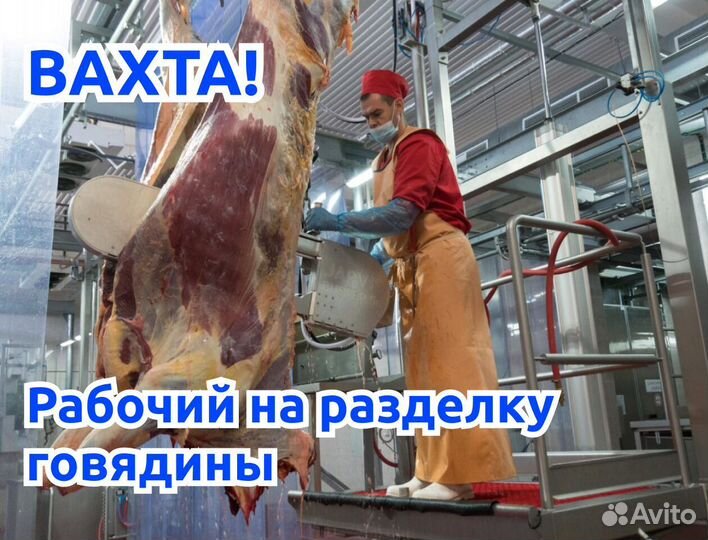 Рабочие на разделку говядины вахта Воронеж