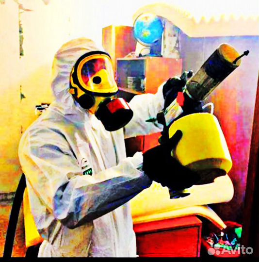 Уничтожение тараканов, травить клопов, дезинфекция