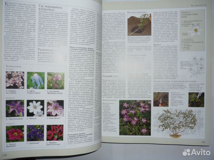 Современный сад Энциклопедия Кристофер Брикелл