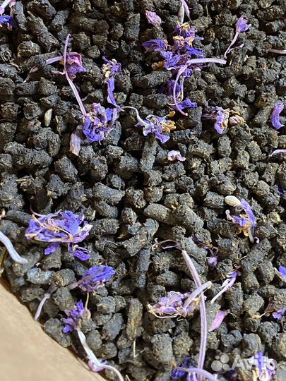 Казацкий 500г