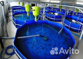 Поиск инвестора