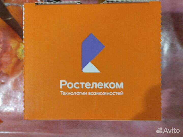 IP камера с микрофоном Ростелеком