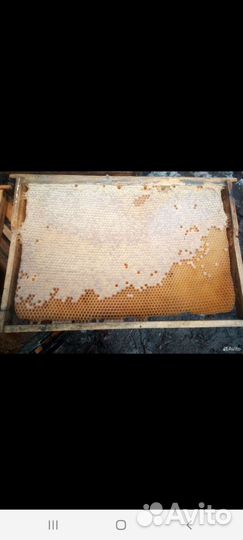 Сушь для пчел