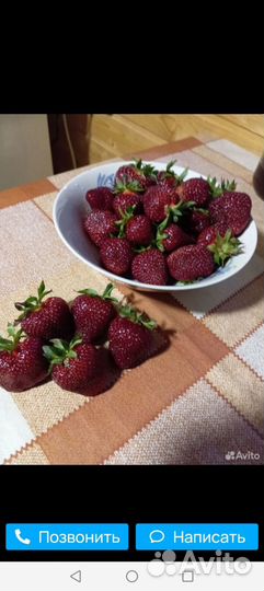 Виктория рассада