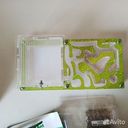 Муравьиная ферма