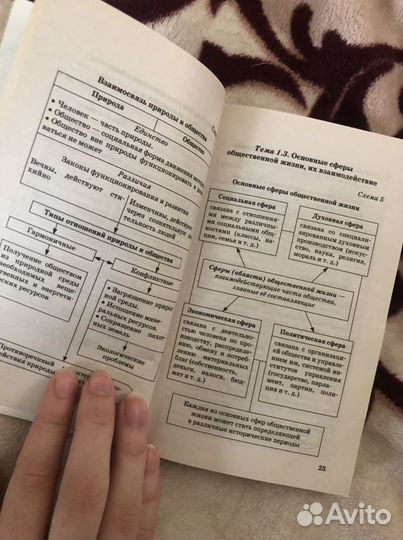 Обществознание огэ