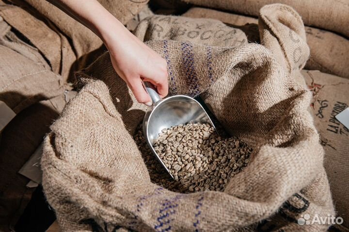 Зерновой кофе оптом от производителя