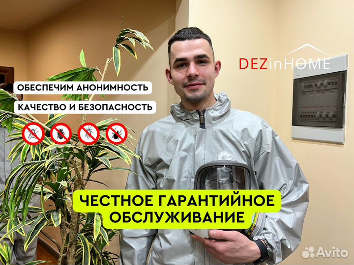 Уничтожение клопов, тараканов, Дезинфекция