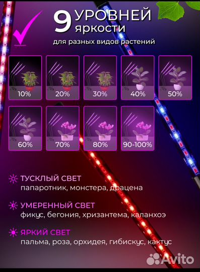 Фитолампа на штативе полный спектр