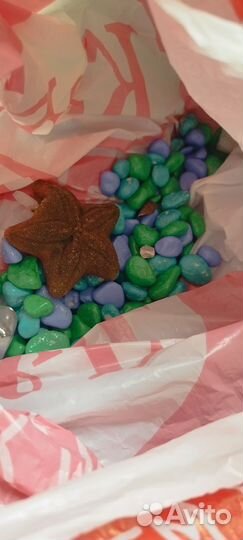 Аквариум с компрессором и аксессуарами