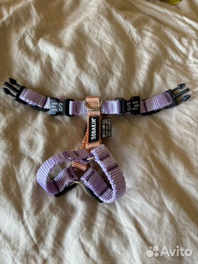 Шлейка для маленькой собаки