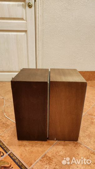 Акустические колонки 10ас-318