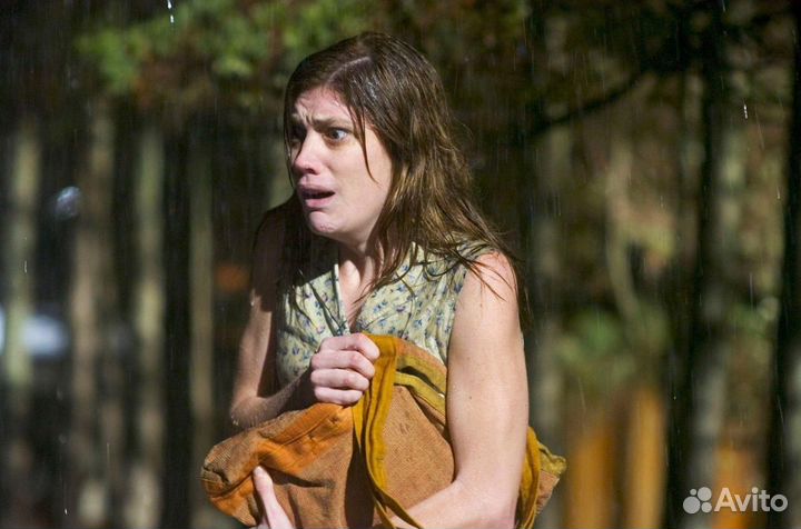 Изгоняя дьявола из Эмили Роуз (DVD)