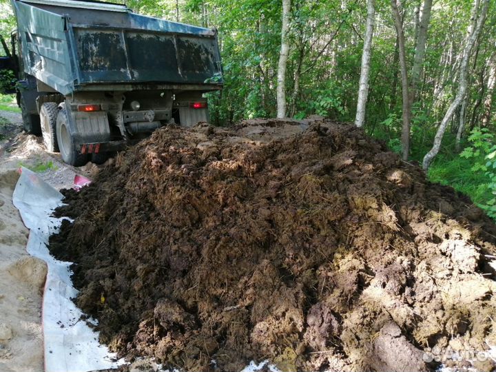 Навоз Коровий