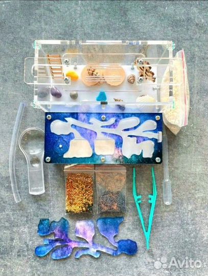 Муравьиная ферма Муравьи оптом и в розницу Корм