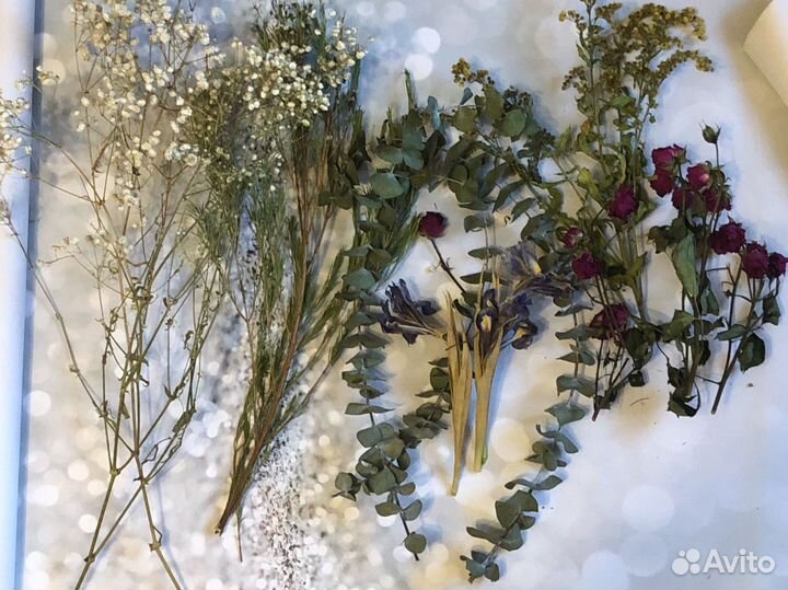 Разные сухоцветы