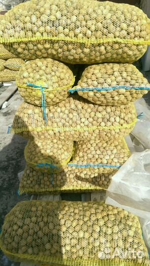 Грецкие орехи