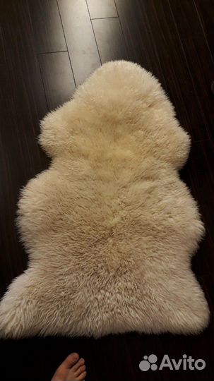 Шкурка животного