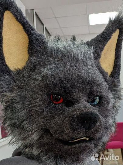 Фурсьют кота