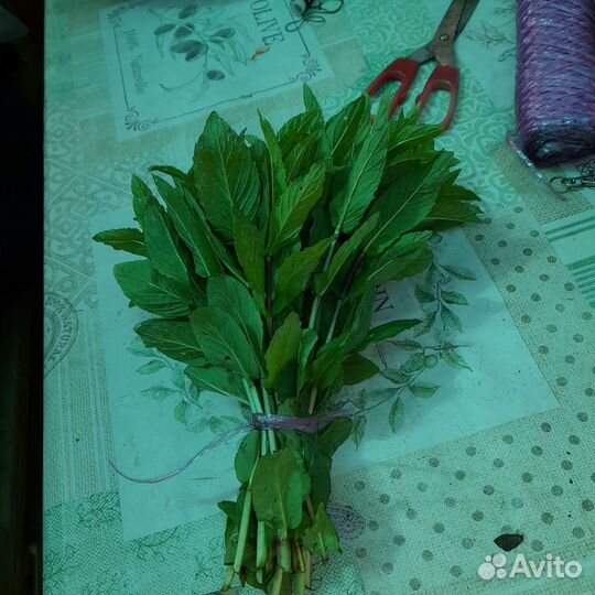 Томаты со своего огорода