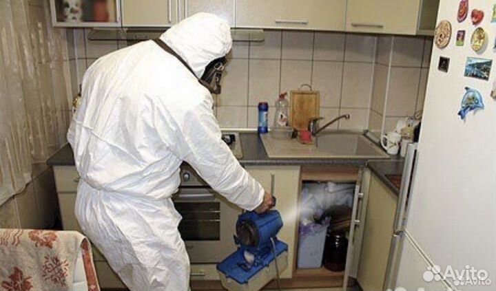 Уничтожение клопов травить тараканов дезинсекция