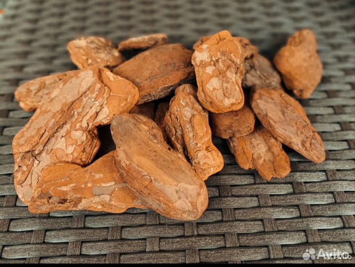 Kopa сосновая для opхидей