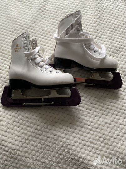 Коньки монтана голд