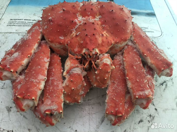 Краб Стригун, Камчатский, Рыба, Икра