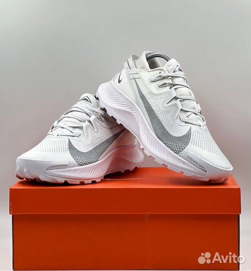 Кроссовки Nike Pegasus Trail 2 мужские