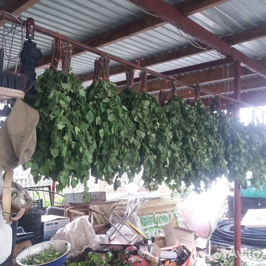 Свежие березовые веники