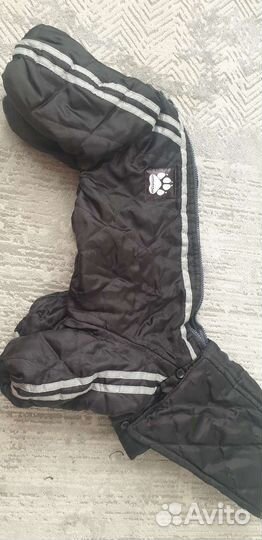 Одежда для собак