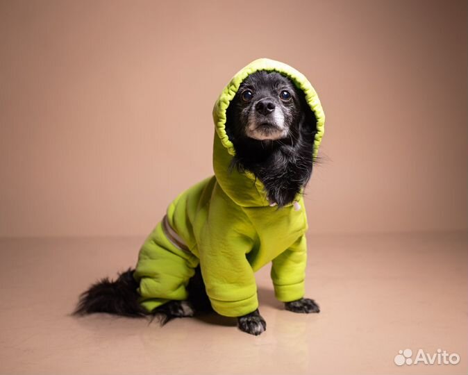 Одежда для собак всех пород