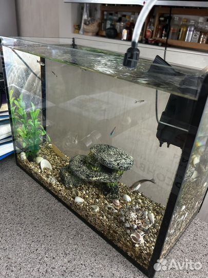 Аквариум с рыбками, фильтром и аксессуарами
