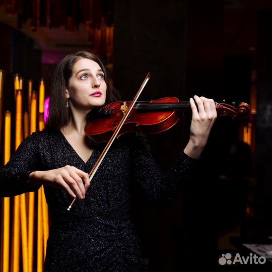 Скрипка, музыкант, живая музыка