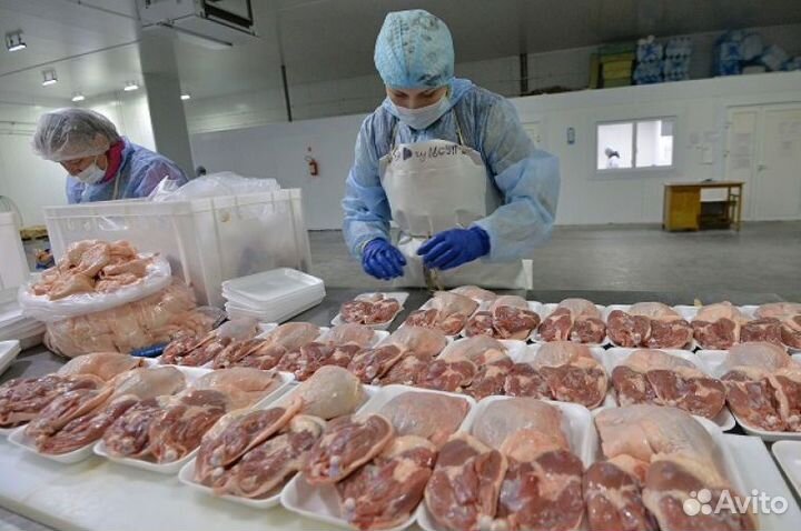 Работа Вахта 82500 Упаковщики г. Владимир