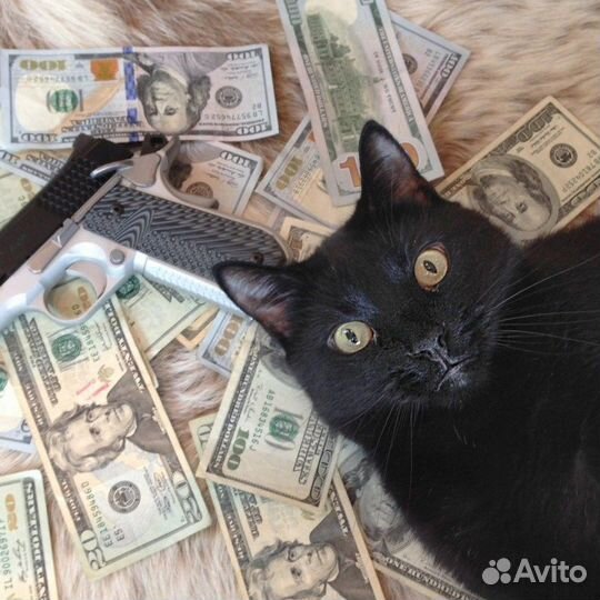 Разнорабочий