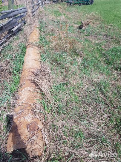 Труба толстостенная