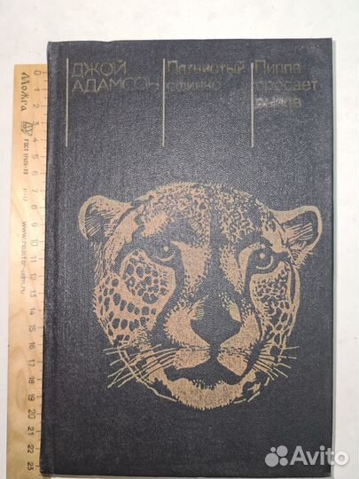 Пятнистый сфинкс. Пиппа бросает вызов