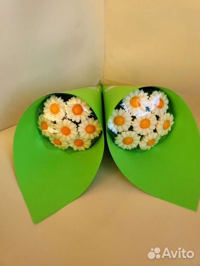 Цветы ромашки